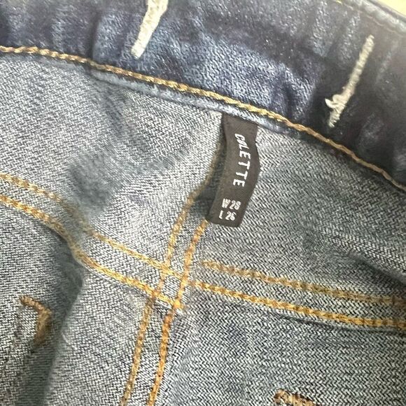 Driftwood Collette Embroidered Crop Jeans - Picture 7 of 9